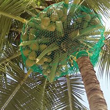 Balcony Safety Nets in Thiruvananthapuram