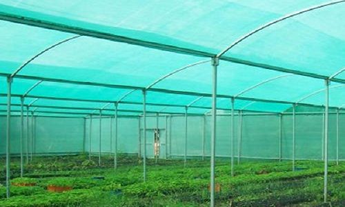 Balcony Safety Nets in Thiruvananthapuram